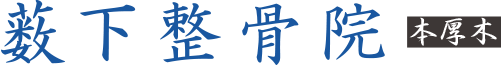 薮下整骨院